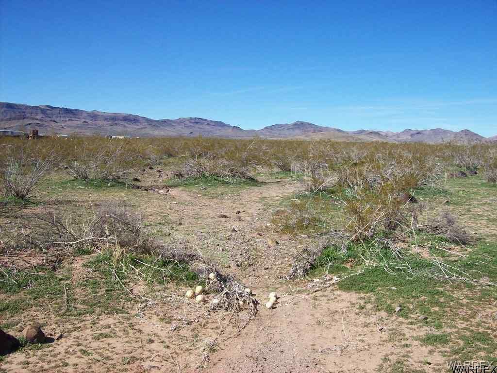 N Dome Rd: N Dome Rd, Golden Valley, AZ 86413